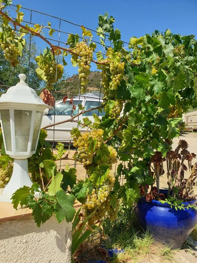 Appartement Les Restanques du Sud à Le Lavandou