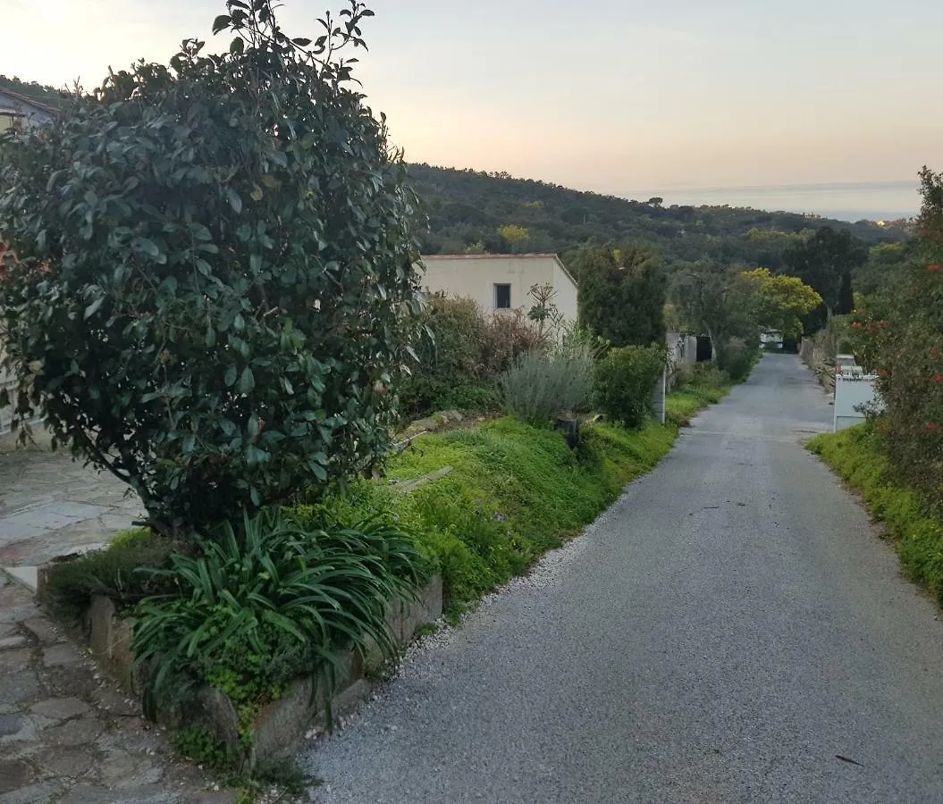 Appartement Les Restanques du Sud à Le Lavandou